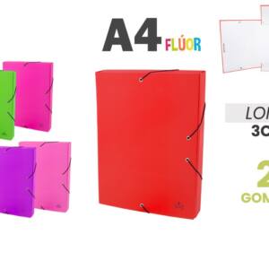 Caja Proyecto A4 Lomo 3cm Colores Flúor Cierre Elástico Cartón Forrado