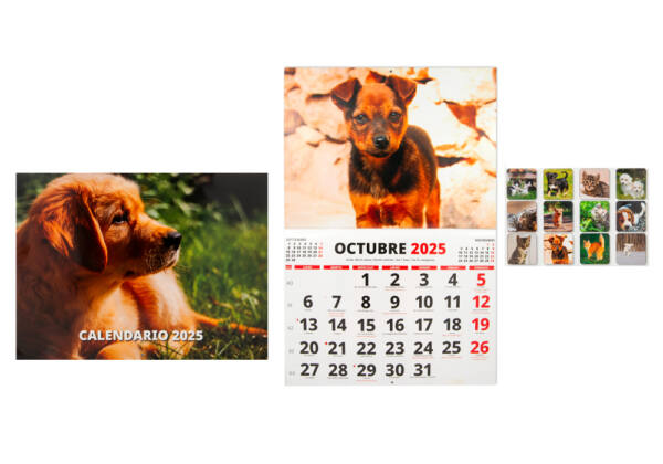 Calendario 2025 Tamaño A3 Abierto Fotos Mascotas