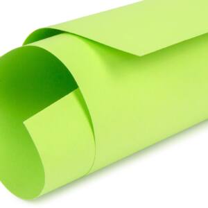 EU-CARTULINA 50x65CM N88 VERDE HIERBA