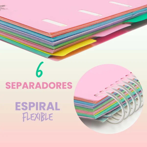 cuadernos a4 tapa plástico y separadores. imagen con las medidas del cuadernos y colores